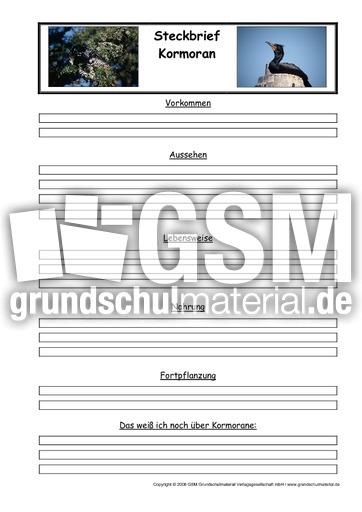 Kormoran-Steckbriefvorlage.pdf